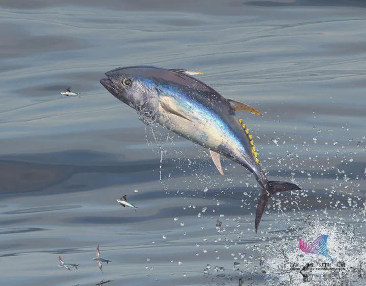 核污水排入大海_核污水即将排入大海_核污水排海里