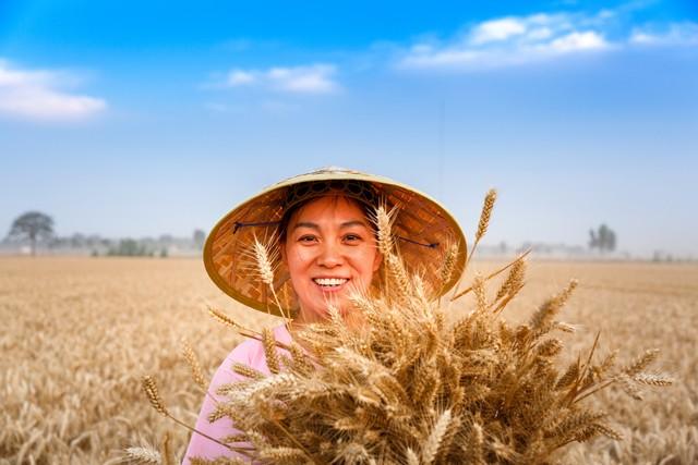 环境管理费用_环境费用效果分析_环境费用包括的内容有