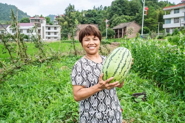 环境费用效果分析_环境费用包括的内容有_环境管理费用