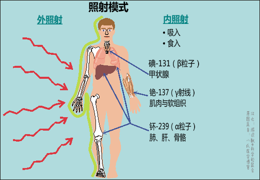 核废料的放射性可以用一般_核能放射性废物处理_放射性核废料的处理数学模型