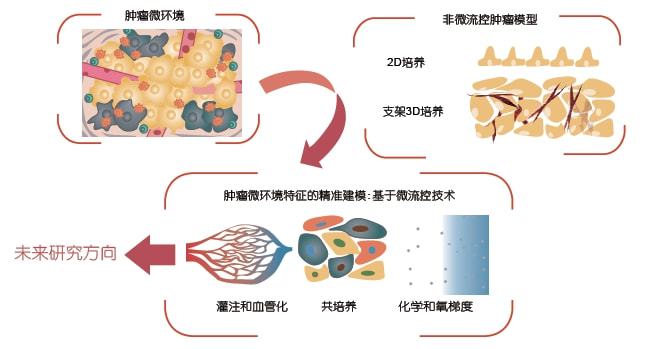 核物理核污水_核污水物理题目_核污水物理化学