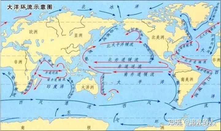 日本排放核污水前的小海豹_日本大叔讲核废水排海危害_日本排放核污水鱼