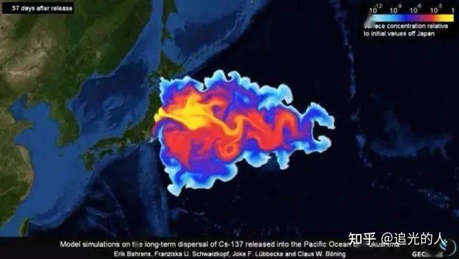 日本排放核污水鱼_日本大叔讲核废水排海危害_日本排放核污水前的小海豹