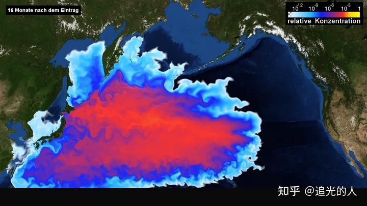 日本大叔讲核废水排海危害_日本排放核污水鱼_日本排放核污水前的小海豹