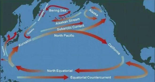 关于日本排放核污水的新闻稿_新闻小报日本排核污水_日本核污水手抄报