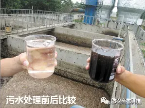 畜牧污水处理设备_畜牧污水池_畜牧业污水