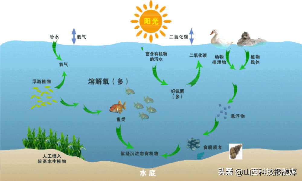 你对于日本排放污水怎么看_公务员考试日本排放核污水_日本排放核污水题目