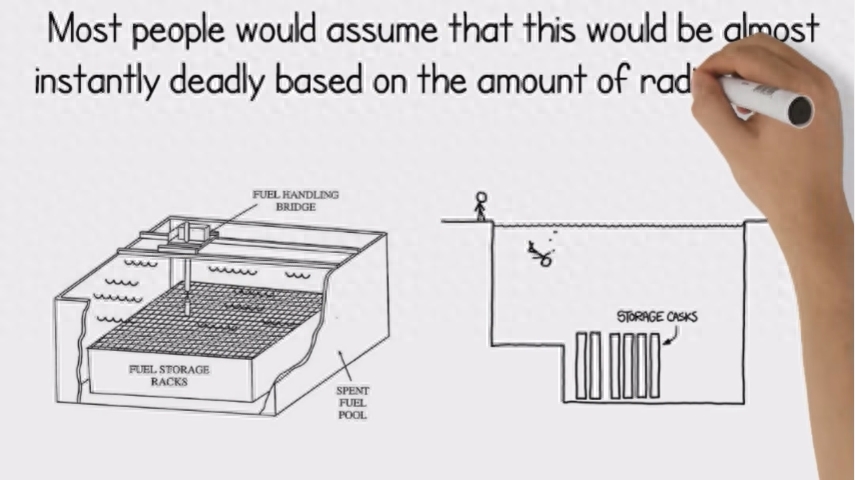 当掉进存放核废料的水池里会怎样？实际上一点事都没