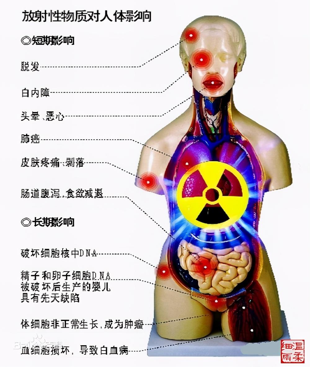 物理核能教学视频_核物理教材_物理选修核废料