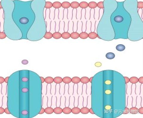 如何解决日本排放核污水_日本和污水如何减少_日本核污水降解方式