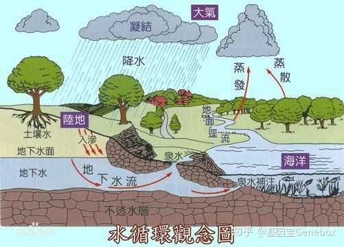 核污水今日排量_污水排放量_污水日排放总量