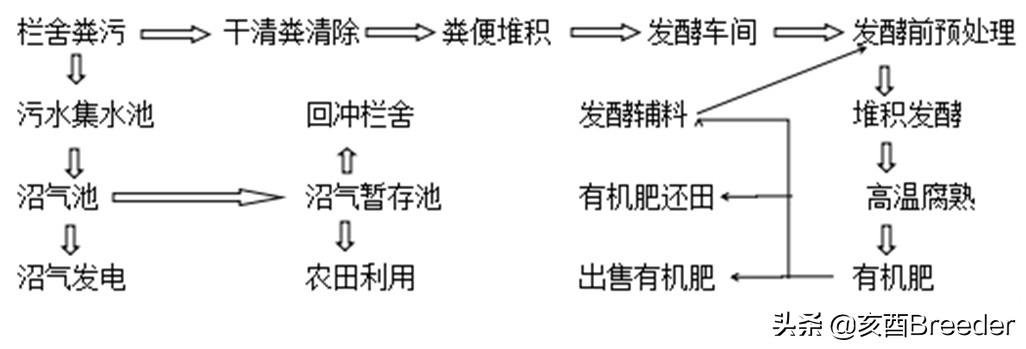 猪粪环保处理设备_环保处理猪粪可以种菜吗_猪粪环保处理