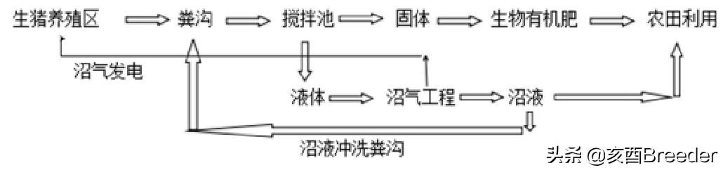 环保处理猪粪可以种菜吗_猪粪环保处理_猪粪环保处理设备