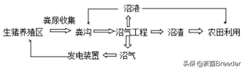 猪粪环保处理设备_环保处理猪粪可以种菜吗_猪粪环保处理