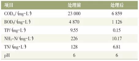 污水处理氧气_污水处理技术支持_兼氧 污水处理技术