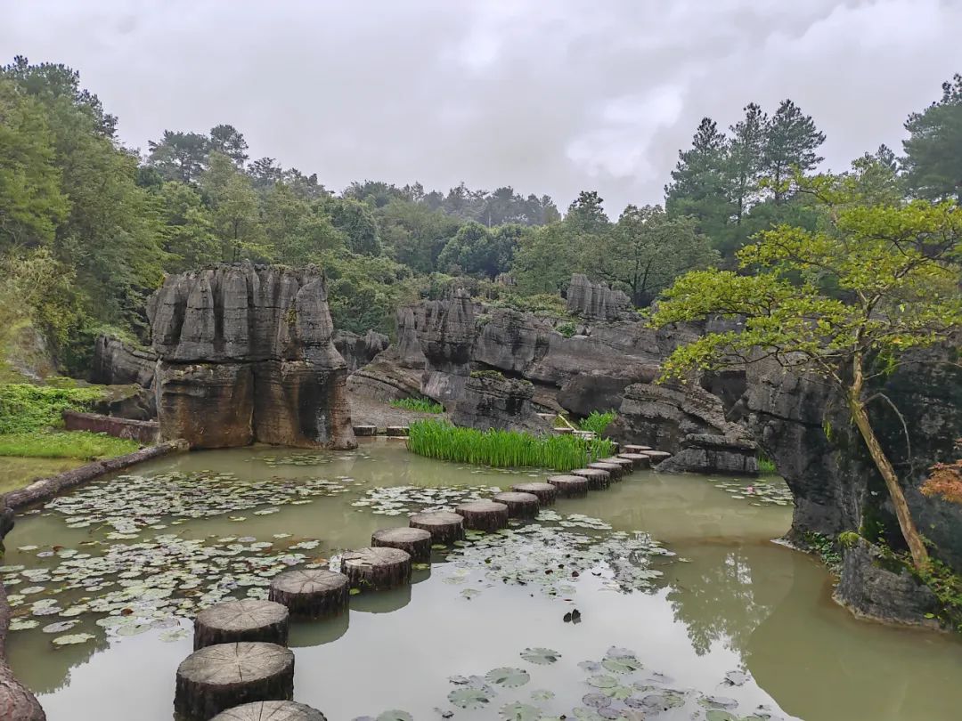 公司团建怎么发动态_公司团建怎么发动态_公司团建怎么发动态