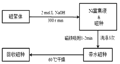 磁分离污水处理设备_磁分离技术污水处理_磁污水分离处理技术规程