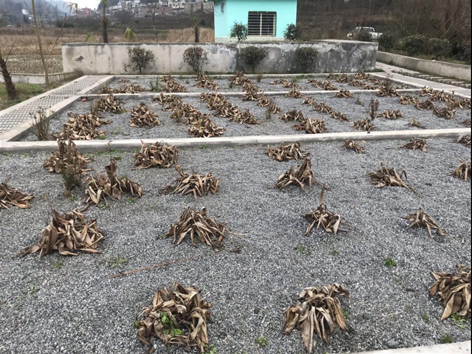 安顺农村生活污水处理设备电话