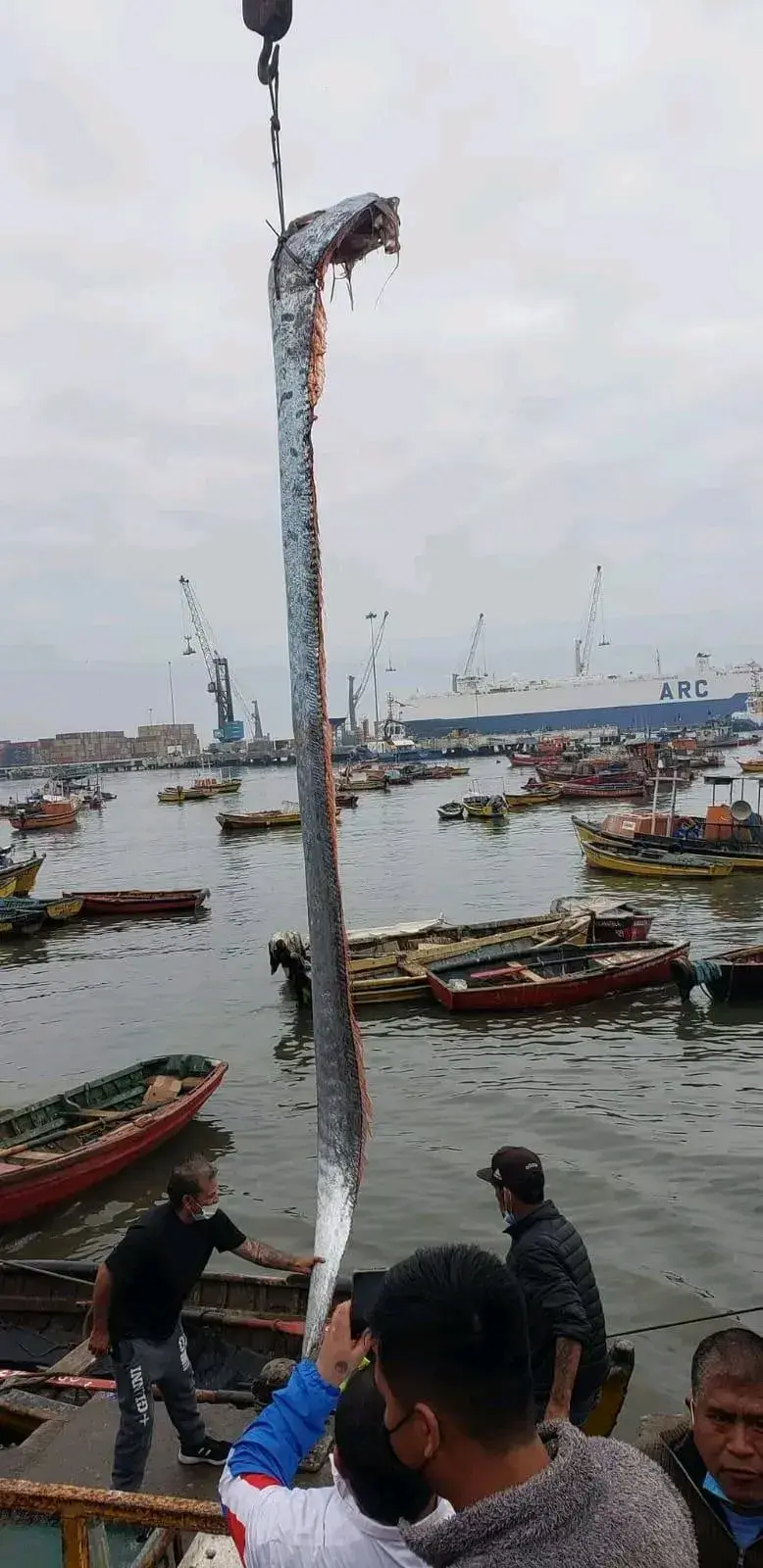 核废料水池泄露_核泄漏废水和核废水区别_核废料水池有辐射吗