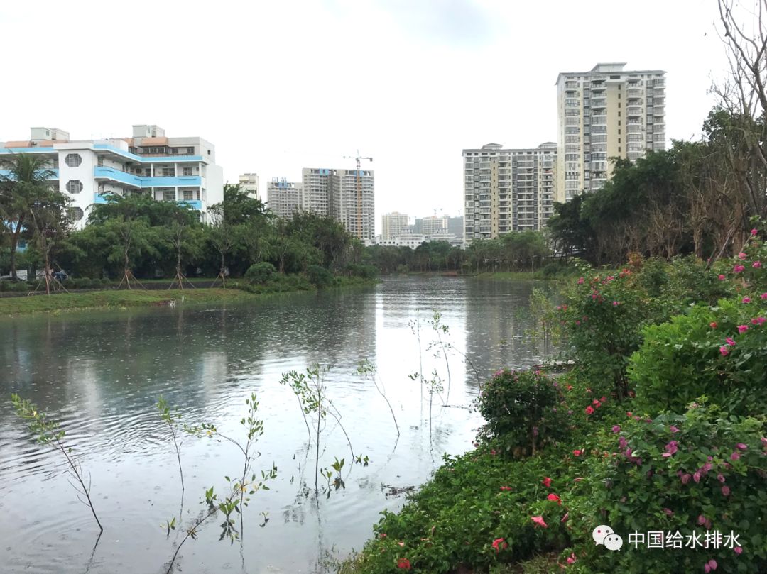 洗砂厂污水处理工艺_冲砂污水_污水洗沙设备