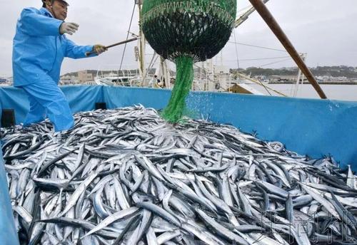 日本把核废料排进大海_日本把核废水排到大海里_日本把核废料排入大海