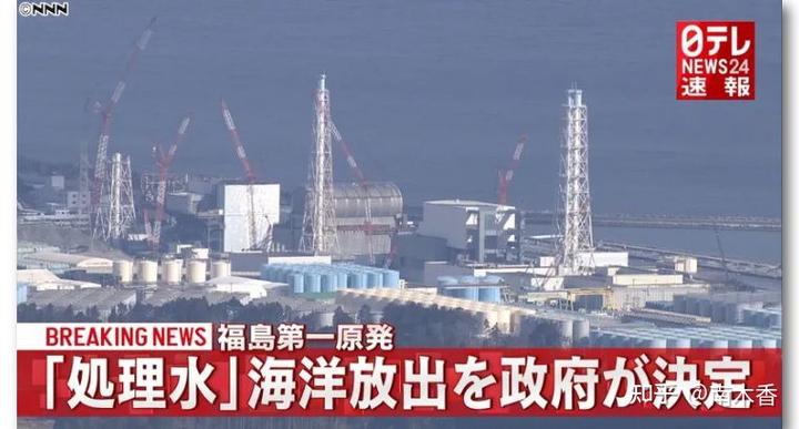 日本海马集团_日本核污水海马_日本海马的价格是多少