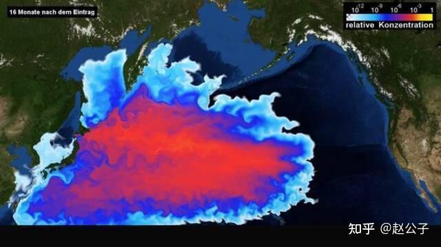 日本海马的价格是多少_日本核污水海马_海马对水质要求怎样