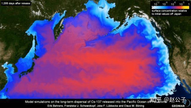 日本海马的价格是多少_海马对水质要求怎样_日本核污水海马