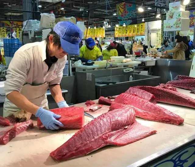 日本称处理核污水不能推迟_日本将制定核污水排放_日本终止排核污水