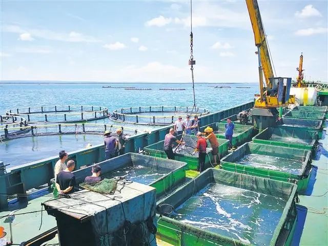 日本核废料排放标准_关于日本排放核废料的新闻_日本核废料排放问题讨论