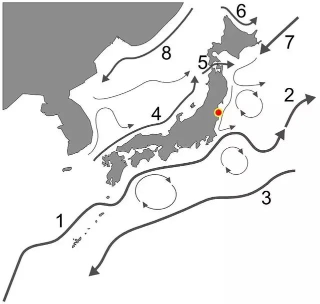 关于日本排放核废料的新闻_日本核废料排放问题讨论_日本核废料污染