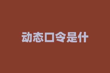 动态口令是什么？动态口令怎样填写？