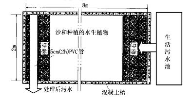 污水水生植物处理方法_水生植物处理污水_污水植物处理方法