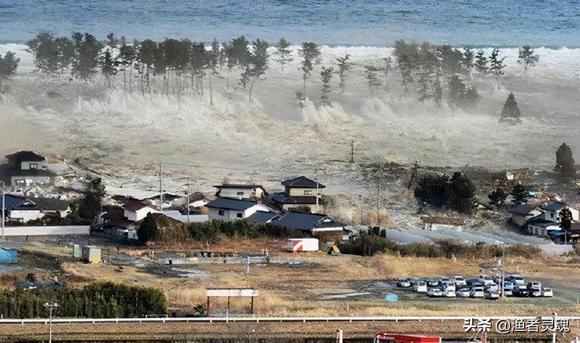 日本排放核污水对鱼有什么影响_污水核鱼排放日本影响有多大_日本排放核污水对渔民的影响