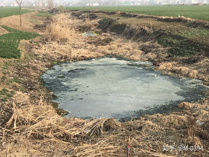 河南污水麦田_河南农村污水_河南污水处理厂