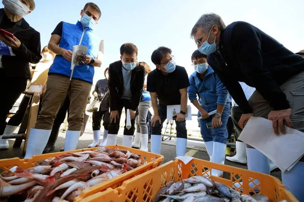 日本排放核污水对盐_核污水盐_日本排放核污水跟吃盐什么关系