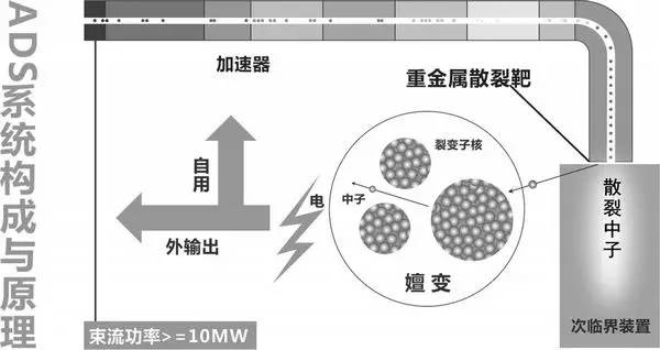 核废料中的元素_核废料快中子反应堆_核反应堆中的中子怎么来的