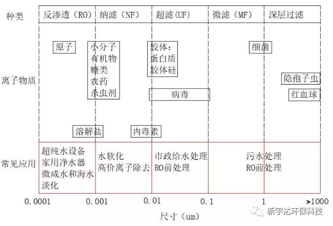 菌种污水处理_污水菌种_污水筛菌