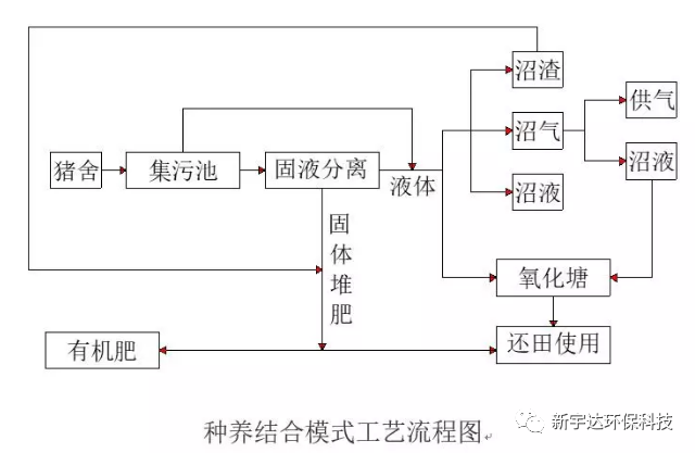 污水菌种_污水筛菌_菌种污水处理