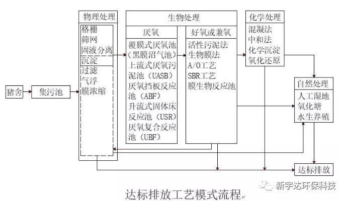 污水菌种_菌种污水处理_污水筛菌