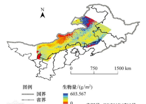 生物环境影响因素有哪些_生物环境影响生物的例子_环境影响生物