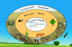 环境影响生物_生物环境影响因素有哪些_生物环境影响生物的例子