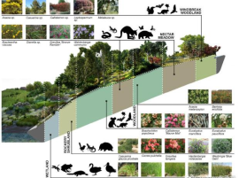 环境影响生物_生物环境影响因素有哪些_生物环境影响生物的例子