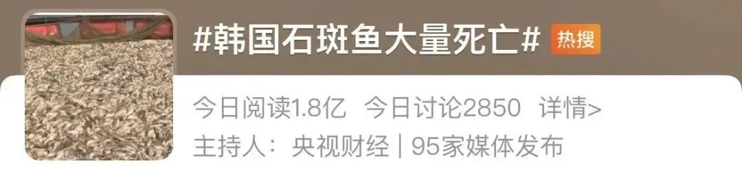 日本核污水反对_潮汕人日本排放核污水民众反应_日本核污水日本人反应