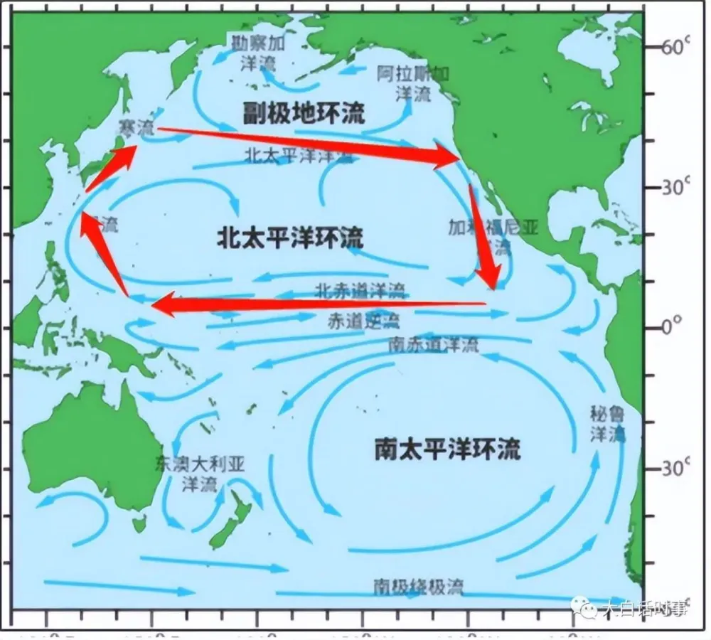 日本排放核污水的日期_日本排放核污水处理_日本排放核污水精确时间