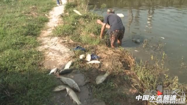 污水塘 惘闻_池塘污水_污水塘 惘闻