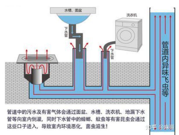 排污管道反味_污水臭气处理_污水管返臭