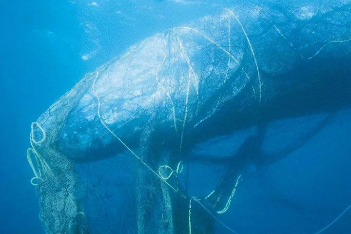 核污水排入海_核污水还在排海吗_核污水到底排没排