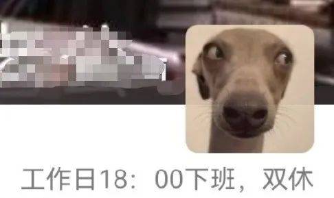 老板头像卡通_老板头像logo_公司老板的动态头像