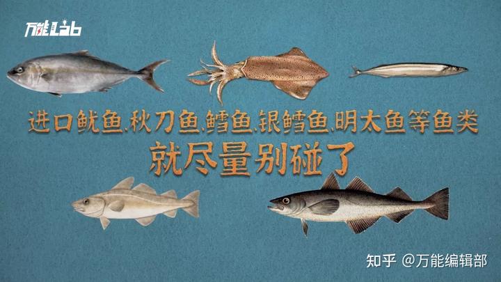 日本排放核污水可以喝_污水核活还能排放日本水吗_日本排放核污水我们还能活多久